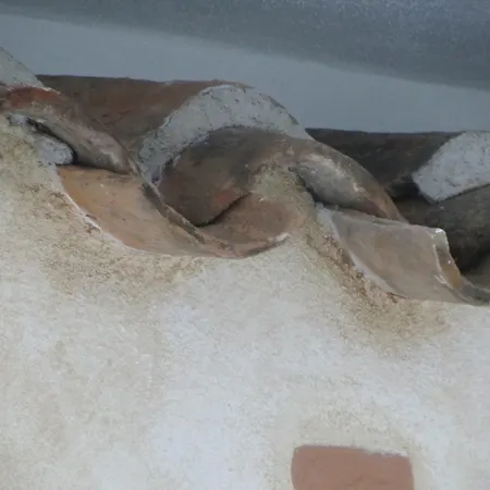 Alojamento de Acomodação e Pequeno-almoço Faunele