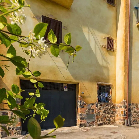 Faunele オロゼーイ